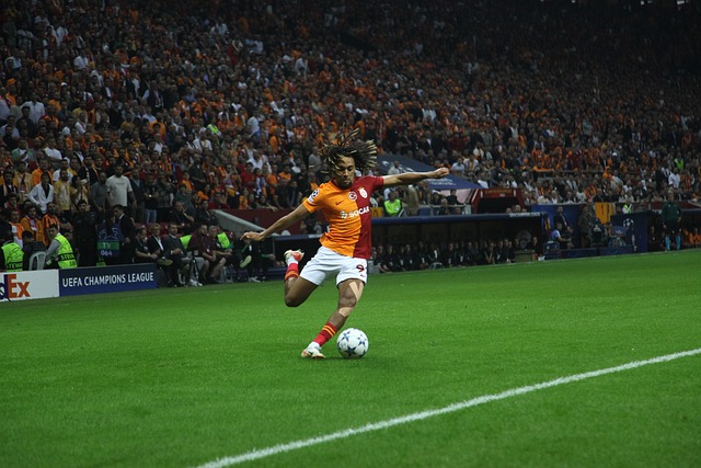 例便是他在 例便是他在