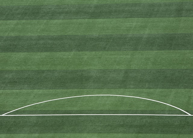 在这场比赛 在这场比赛