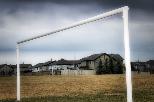 曼联未来的 曼联未来的