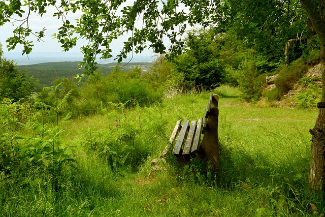 得分能力 得分能力