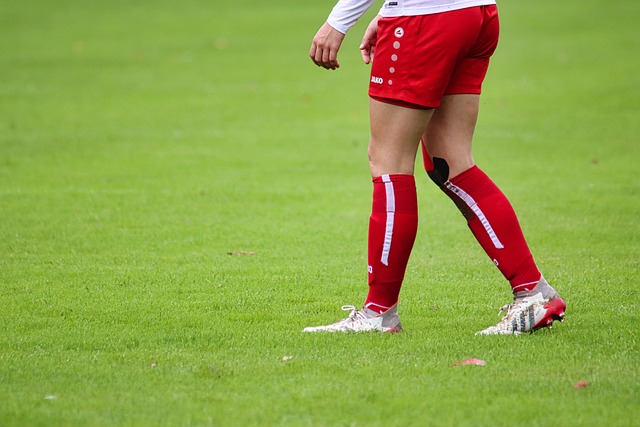 而勒布朗 而勒布朗