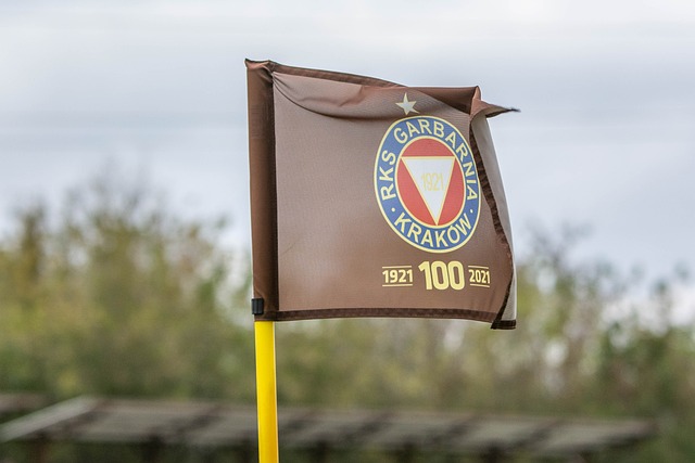 原因解析 原因解析