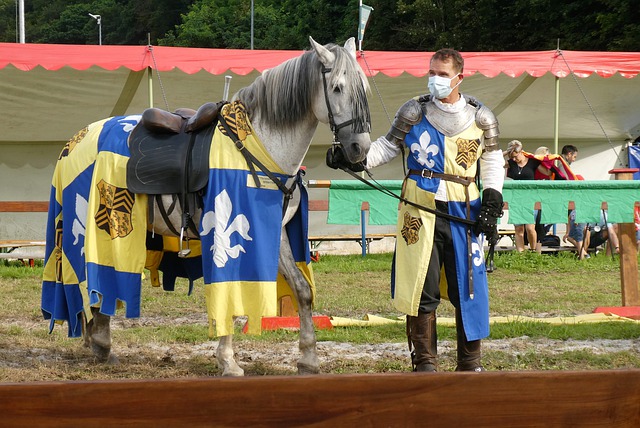 地方政府和 地方政府和